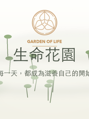 天使靈氣｜希望之翼